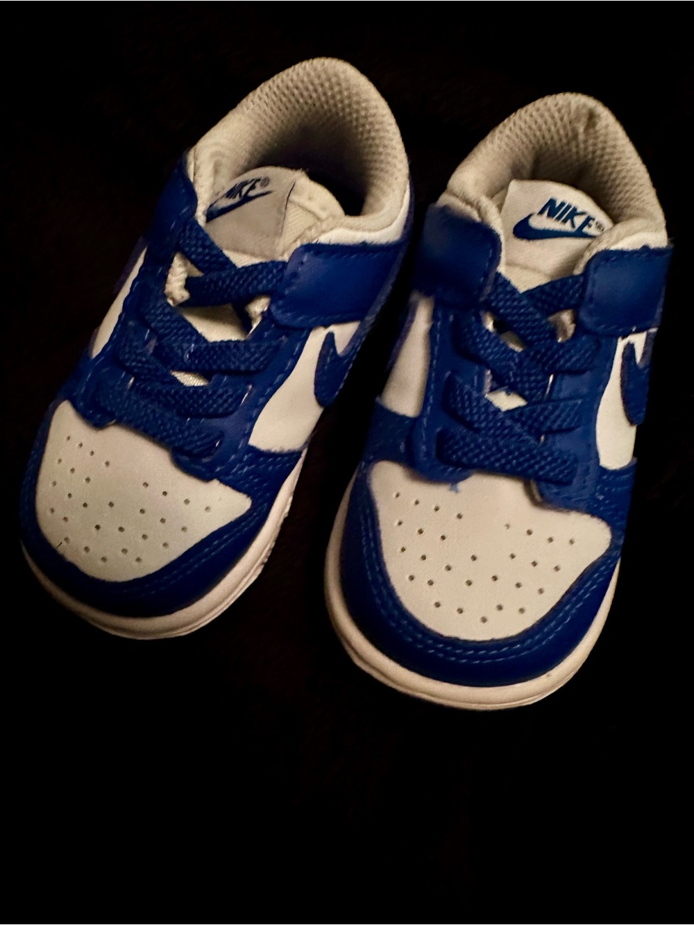 Nike Kids Low Dunk Blue and White Low-Top Sneakers